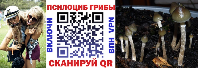 Галлюциногенные грибы MAGIC MUSHROOMS  Раменское 