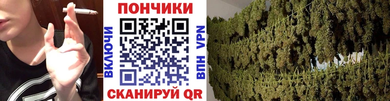 Конопля план  Раменское 
